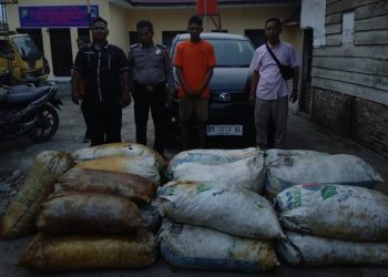 Polres Labusel Amankan Maling Sawit PT Torganda Gunakan Minibus