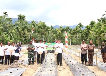 Pemkab Aceh Selatan Kendalikan Inflasi Lewat Gerakan Tanam Cabai