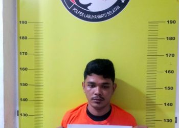 Meresahkan, Dua Pengedar Sabu di Kota Pinang dan Torgamba Disergap Polres Labusel