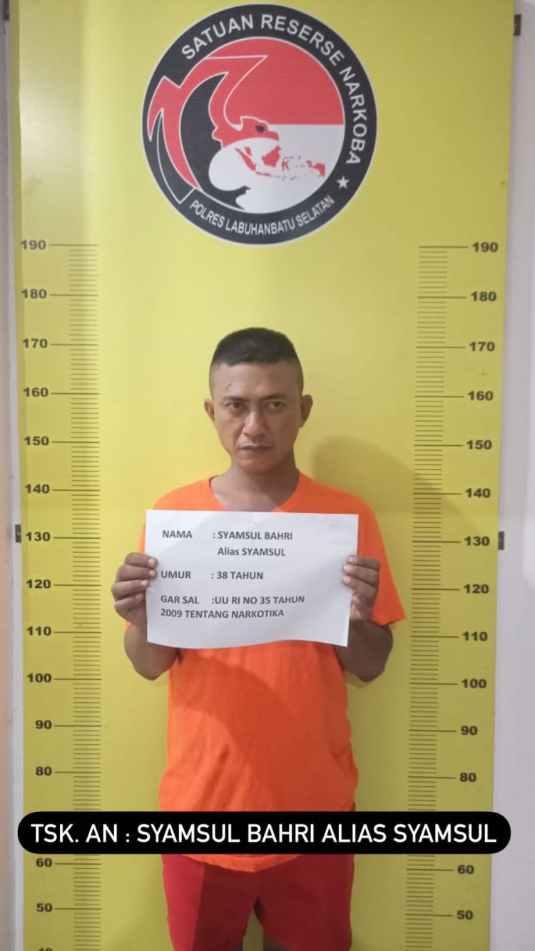 Polres Labusel Ringkus TO Pengedar Sabu