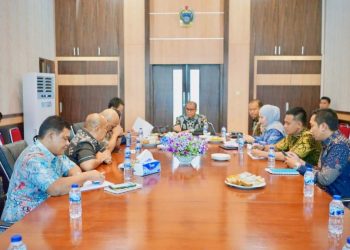 Audiensi dengan Pj Bupati, Korea Selatan Akan Hibahkan Dana ke Kabupaten Langkat