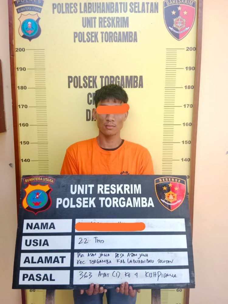Hendak Kabur, Polres Labusel Ringkus Kawanan Maling Pengunjung SPBU di Torgamba