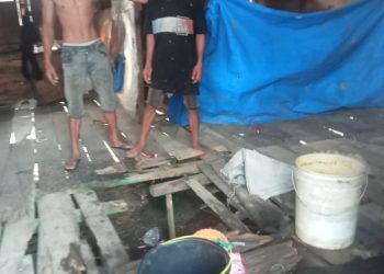 Di Langkat : Abang Adik Tinggal di Rumah Terancam Rubuh, Butuh Bantuan Pemerintah dan Donatur