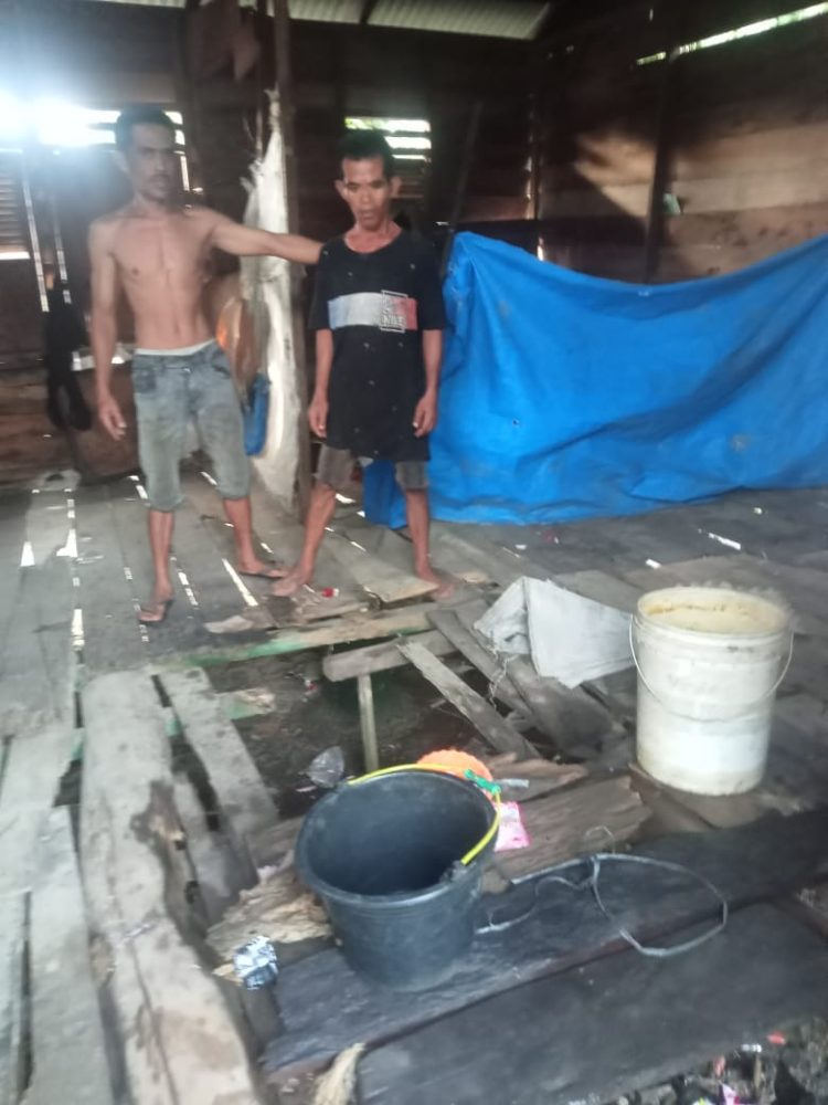 Di Langkat : Abang Adik Tinggal di Rumah Terancam Rubuh, Butuh Bantuan Pemerintah dan Donatur