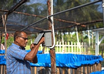 INALUM Dorong Penggunaan Energi Mandiri Pembangkit Listrik Tenaga Surya untuk Perikanan Darat