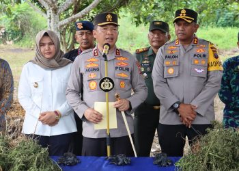 Perang Lawan Narkoba, Kapolda Sumut Ungkap Ladang Ganja Tersembunyi di Madina