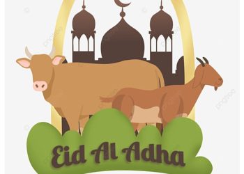 Tahun Ini UISU Potong 16 Hewan Kurban