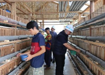 Tingkatkan Perekonomian Lokal, Inalum Luncurkan Program Pemberdayaan Masyarakat 