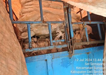 Bawa Limbah Plastik Impor, Supir Truk di Medan Diamankan Polisi