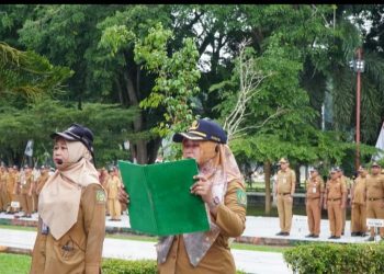 Pj Bupati Langkat : Penting, Tindak Lanjut Pengawasan untuk Raih Opini WTP