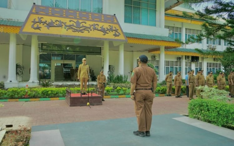 Apel ASN, Pj Bupati Langkat Tekankan Pentingnya Disiplin dan Profesionalisme