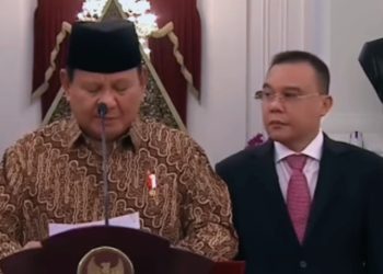 Pelajaran Politik dari Sufmi Dasco Ahmad