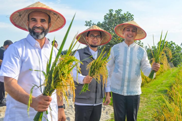 Ijeck Panen Padi Bersama Ustaz Adi Hidayat dan Rektor dari Libya