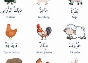 Teknik Pengelompokan Peserta Didik Model 9.2 Sembilan Hewan Piaraan