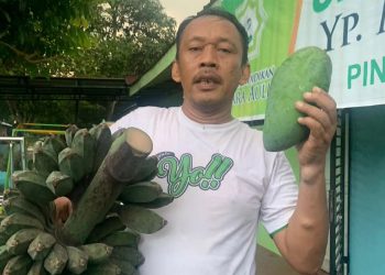 Hikmah : Empat Lima Kesuksesan (11)