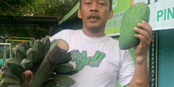 Hikmah : Empat Lima Kesuksesan (11)