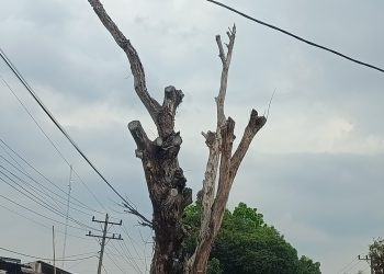 Para Pengendara Jantungan Saat Melintas Depan SPBU Karang Rejo Stabat