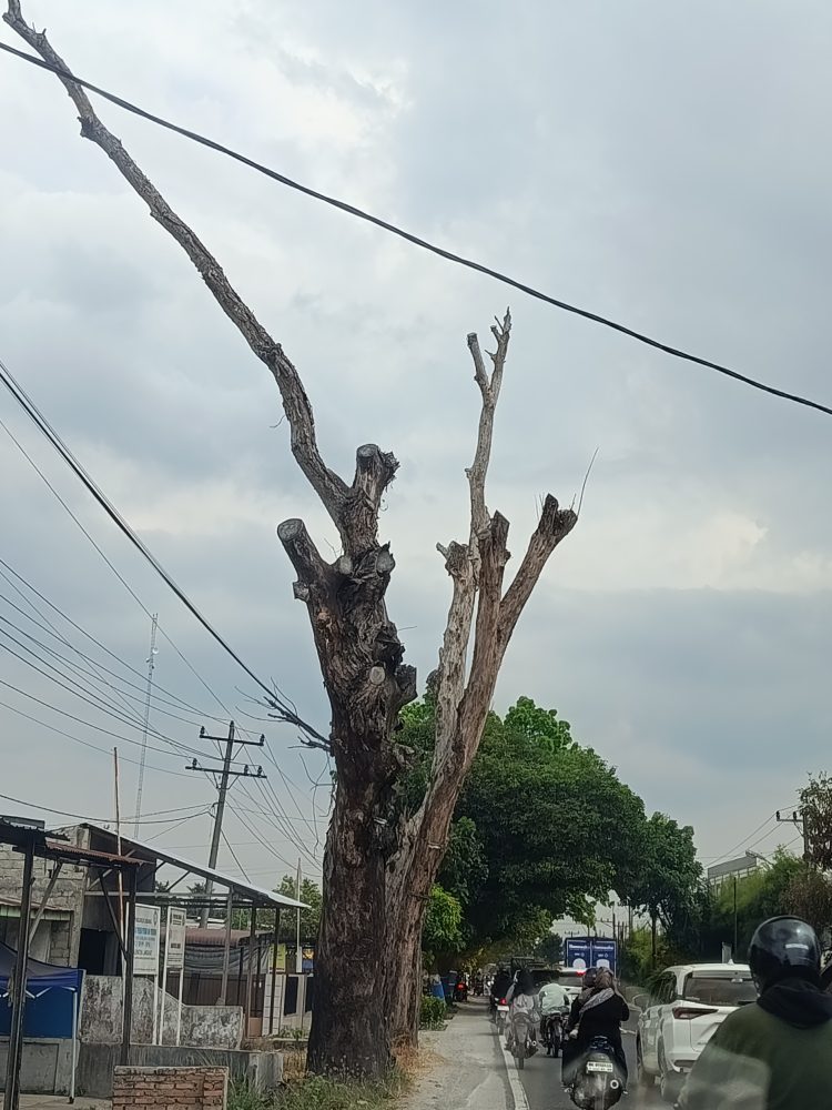 Para Pengendara Jantungan Saat Melintas Depan SPBU Karang Rejo Stabat